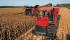 Cosechadoras Case IH Axial Flow 9120