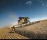 Cosechadoras New Holland CR7.90 ST5 