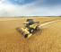 Cosechadoras New Holland CX6.80
