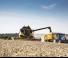 Cosechadoras New Holland CX6.80