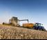Cosechadoras New Holland CX7.90 