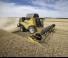 Cosechadoras New Holland CX7.80   