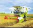 Cosechadoras Claas Dominator 40 Terra Trac