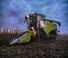 Cosechadoras Claas Evion 450 Maxi    