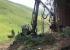 Máquinas forstales Cosechadoras forestales John Deere 1270 E IT4