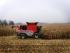 Cosechadoras Massey Ferguson Fortia 9795