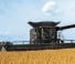 Cosechadoras Fendt Ideal 8T 