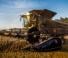 Cosechadoras Massey Ferguson Ideal 9