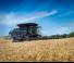 Cosechadoras Massey Ferguson Ideal 9 T
