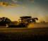 Cosechadoras Massey Ferguson Ideal 9 T