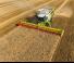 Cosechadoras Claas Lexion 750 Montana