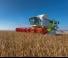 Cosechadoras Claas Lexion 750 TerraTrac