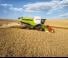 Cosechadoras Claas Lexion 760