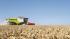 Claas Lexion 770 TerraTrac