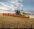 Cosechadoras Claas Lexion 7700 