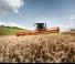 Cosechadoras Claas Lexion 8500