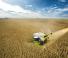 Cosechadoras Claas Lexion 8900 TerraTrac 