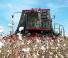 Cosechadoras Case IH Module Express 635