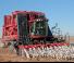 Cosechadoras Case IH Module Express 635
