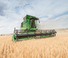 Cosechadoras John Deere T 670 i LL