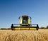 Cosechadoras New Holland TC4.90 ST5 