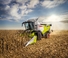 Cosechadoras Claas Trion 660   