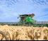 Cosechadoras John Deere X9 1000  