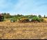 Cultivadores Amazone Cenius 4003-2TX Super