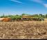 Cultivadores Amazone Cenius 5003-2 TX Super