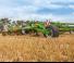 Cultivadores Amazone Cenius 5003-2 TX Super