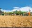 Cultivadores Amazone Cenius 5003-2 TX Super