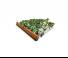 Cultivadores Amazone Cenius 7003-2TX Super 