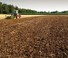 Cultivadores Kerner Corona C 250 Üm
