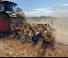 Cultivadores Agrisem Smartplow mounted 3,50