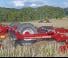 Horsch Terrano 8 FG
