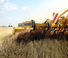Cultivadores Agrisem Vibromulch 4.00