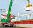Manipuladores de materiales Sennebogen 875M E Hybrid  