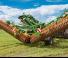 Gradas de disco -gancho Amazone Certos 7001-2TX
