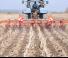 Cultivadores Kuhn Striger 600R 