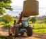 Manipuladoras telescópicas Massey Ferguson TH.7030