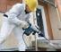 Herramientas eléctricas Martillos de demolición y rompedores Bosch GSH 5 CE