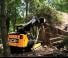 Minicargadoras JCB 225T