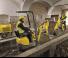 Miniexcavadoras Wacker Neuson 803