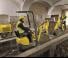 Miniexcavadoras Wacker Neuson 803