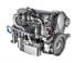 Motores FPT Industrial Cursor13 ENTG