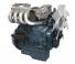 Motores Kubota WG1605-GLN-E3