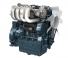 Motores Kubota WG3800-GL-E3