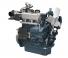 Motores Kubota WG972-GL-E4