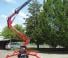 Basket Spider 18