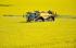 Pulverizadoras automotrices Challenger RoGator 635